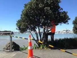 Tree Pruning