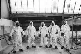 Asbestos removal