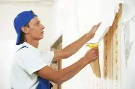 Painting & Plastering