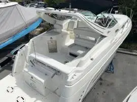 2002 Wellcraft Martinique 3000 - Needs work