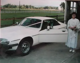 1984, Jaguar, XJS HE 1984, Jaguar, XJS HE