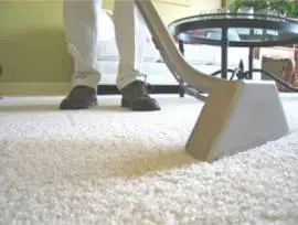 Carpet Master