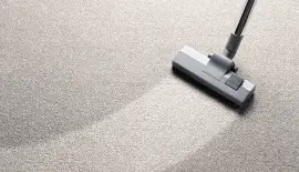 Kiwiland Carpet Cleaning