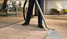 Kiwiland Carpet Cleaning